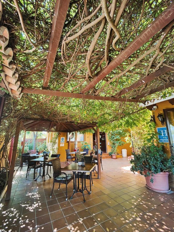 Hotel Donana Blues Маталасканьяс Екстер'єр фото
